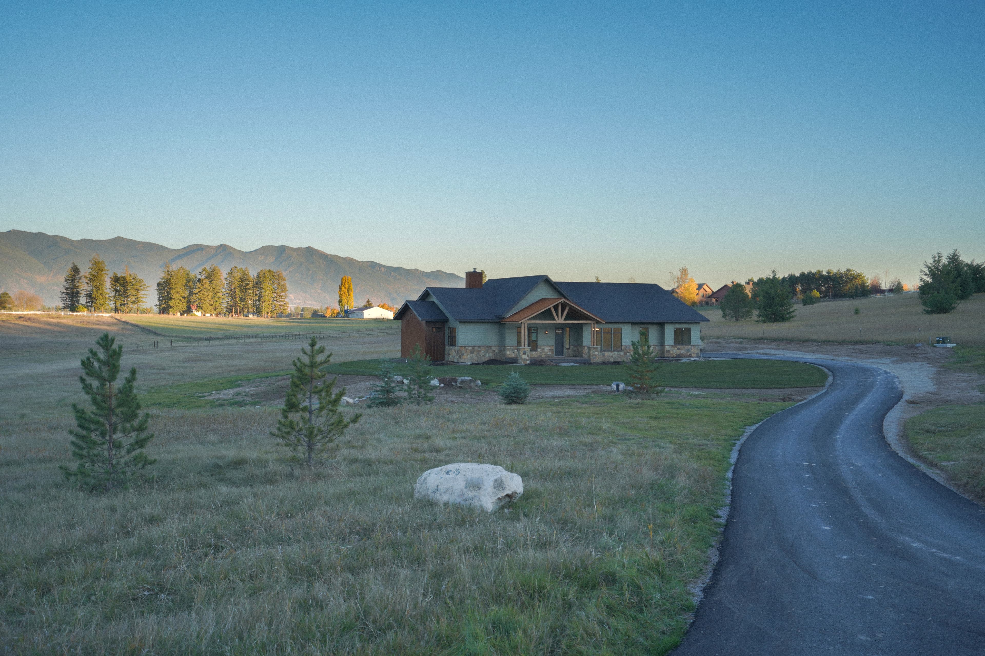 Alpine Meadow